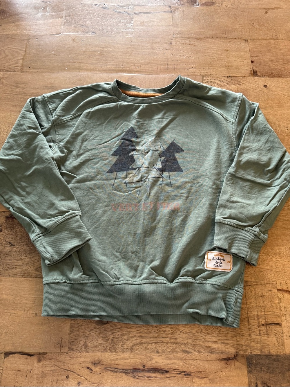 Souris Mini Sage Green Graphic Crewneck Sweater tree nature size 6 years